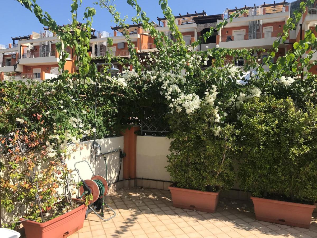 Apartament Casa Norvegese Pizzo  Zewnętrze zdjęcie